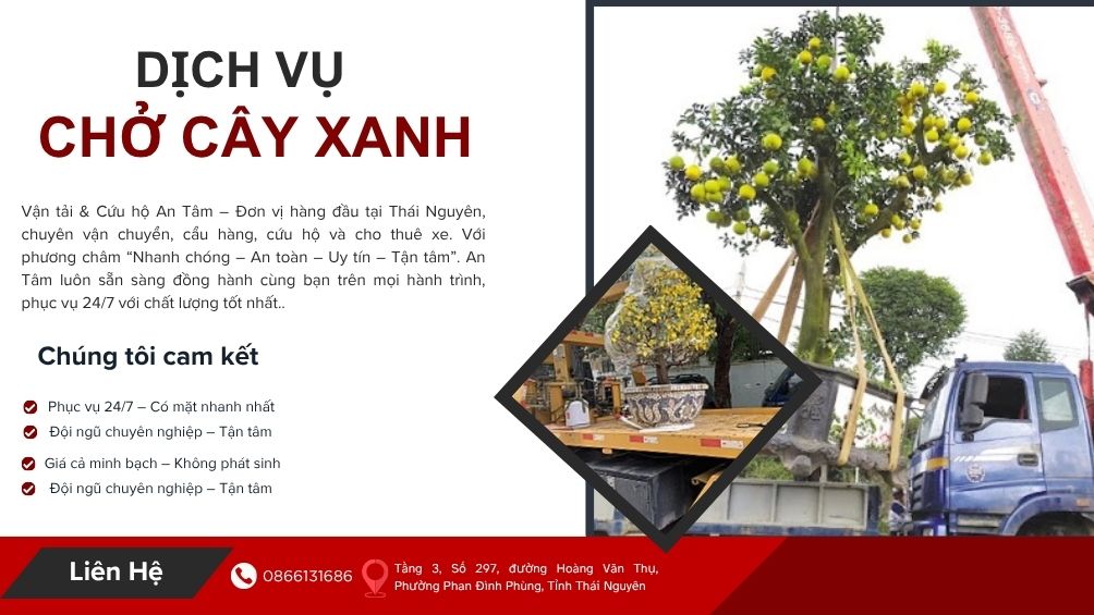 <p dir="ltr" style="text-align: center;" role="presentation"><strong>Chở Cây Xanh</strong></p>
<p> </p>